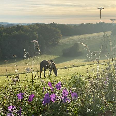 Vila Domaine De Cazal - Gite 2 Pers Avec Piscine Au Coeur De 26 Hectares De Nature Preservee Saint-Cyprien  Exteriér fotografie