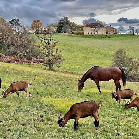 Vila Domaine De Cazal - Gite 2 Pers Avec Piscine Au Coeur De 26 Hectares De Nature Preservee Saint-Cyprien  Exteriér fotografie