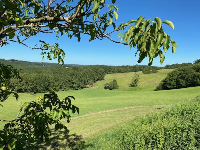 Domaine De Cazal - Gite 2 Pers Avec Piscine Au Coeur De 26 Hectares De Nature Preservee Saint-Cyprien  Exteriér fotografie