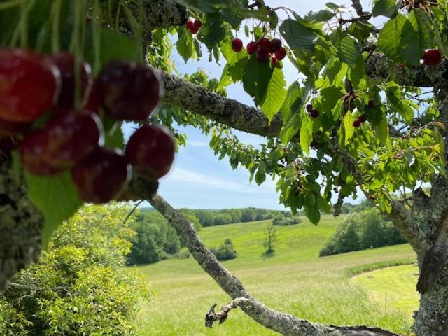 Domaine De Cazal - Gite 2 Pers Avec Piscine Au Coeur De 26 Hectares De Nature Preservee Saint-Cyprien  Exteriér fotografie