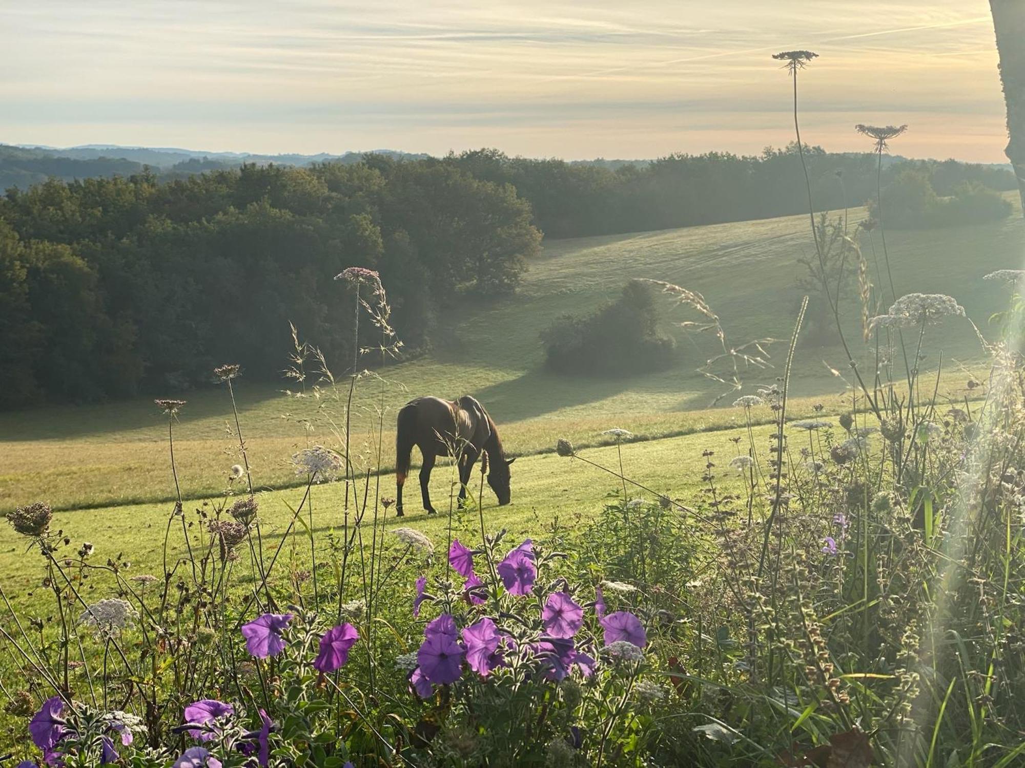 Vila Domaine De Cazal - Gite 2 Pers Avec Piscine Au Coeur De 26 Hectares De Nature Preservee Saint-Cyprien  Exteriér fotografie